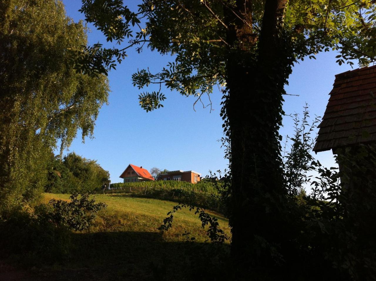 Ferienhaeuser Im Weingarten Fehring Exterior photo